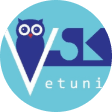 VSK VETUNI logo